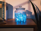 NEXSMART™ SMART LED-STRENGSLYS - 4