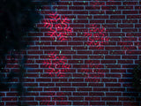 NEXSMART™ XMAS LASERPROJEKTOR